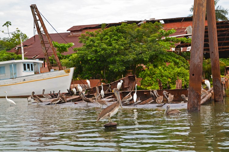 Rio Dulce - Guatemala
